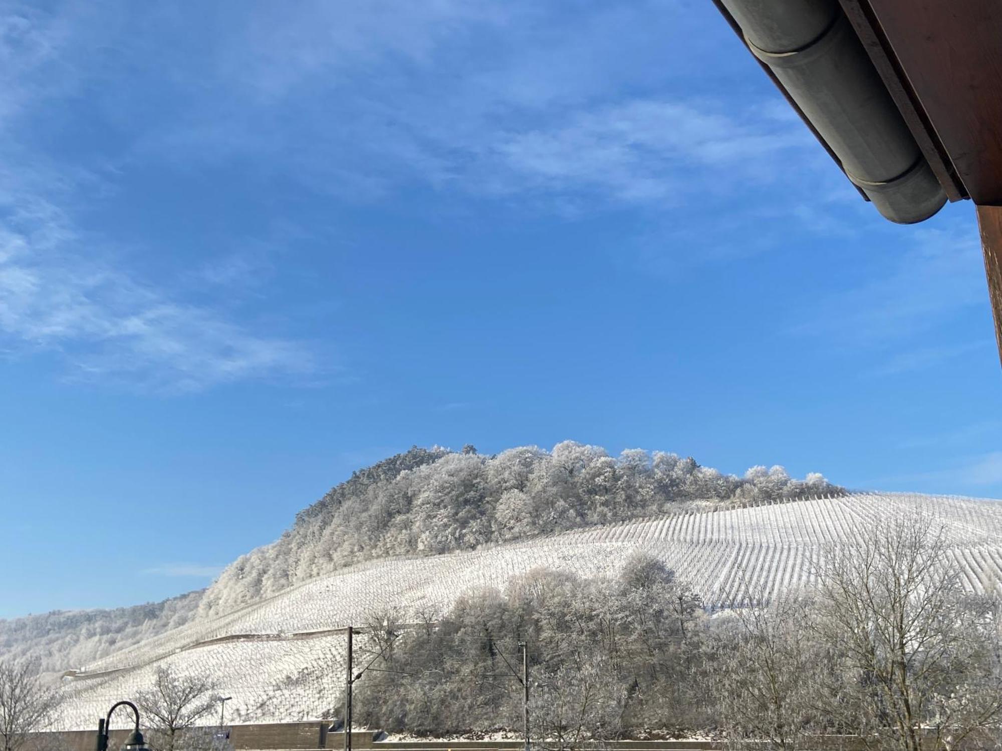 Gaestehaus Und Weingut Bernd Frieden Nittel Esterno foto