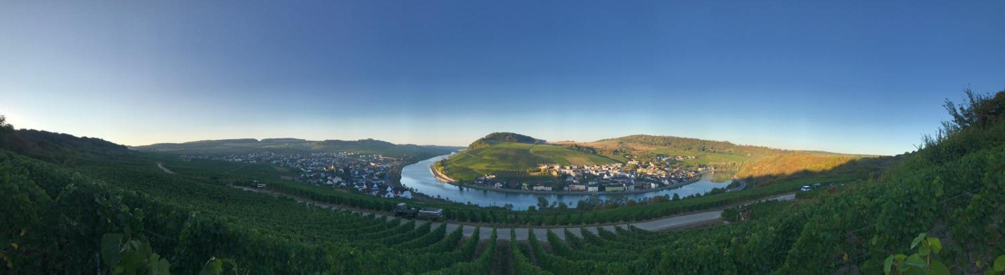 Gaestehaus Und Weingut Bernd Frieden Nittel Esterno foto