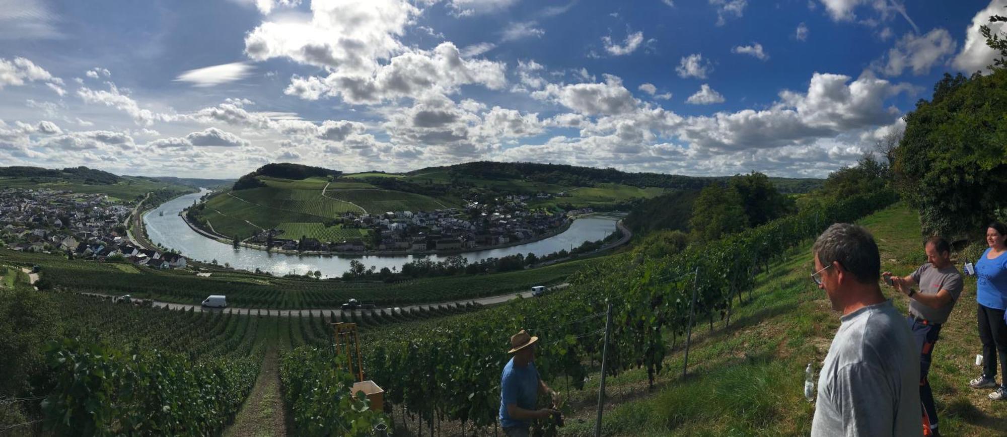 Gaestehaus Und Weingut Bernd Frieden Nittel Esterno foto