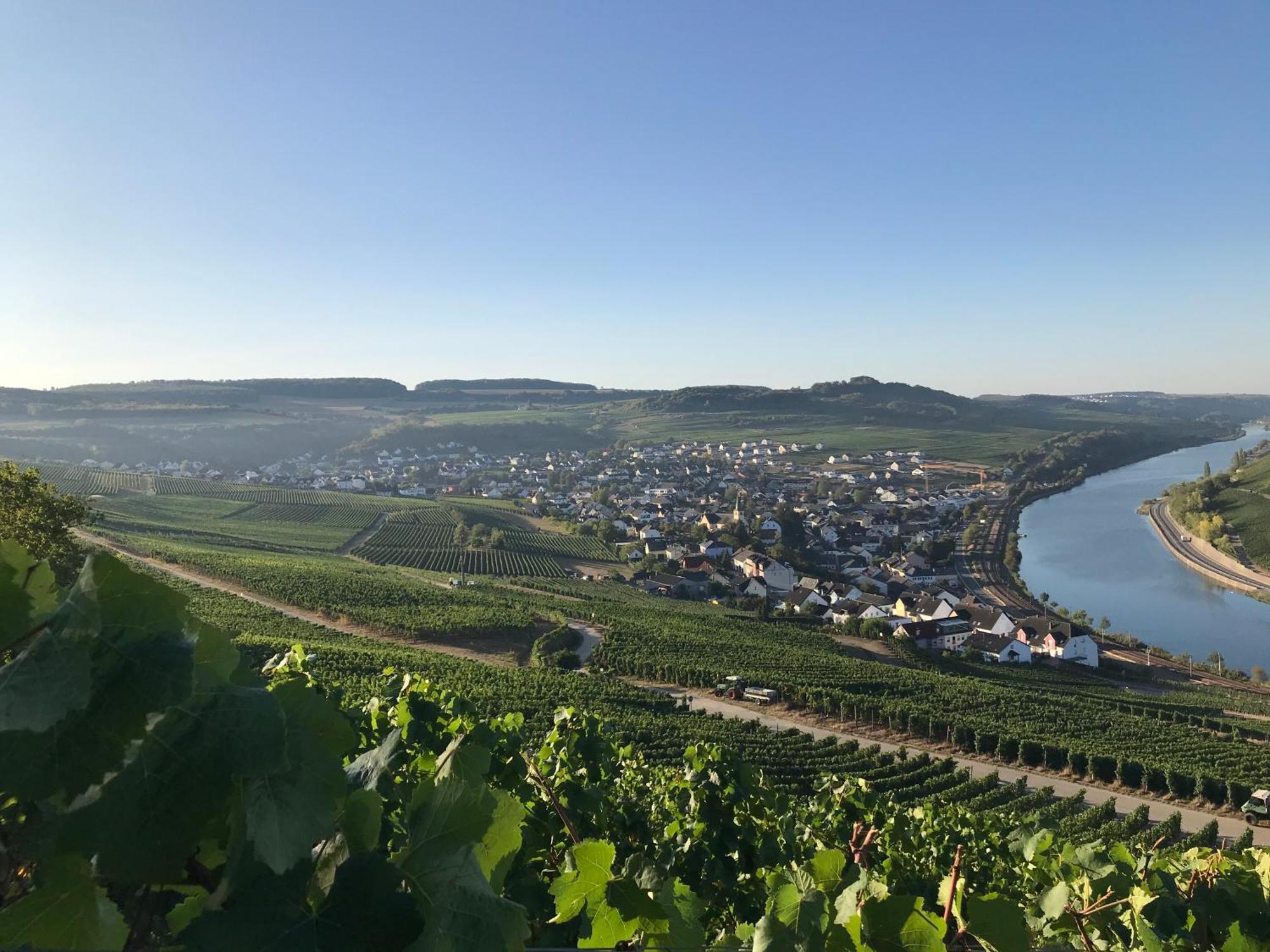 Gaestehaus Und Weingut Bernd Frieden Nittel Esterno foto
