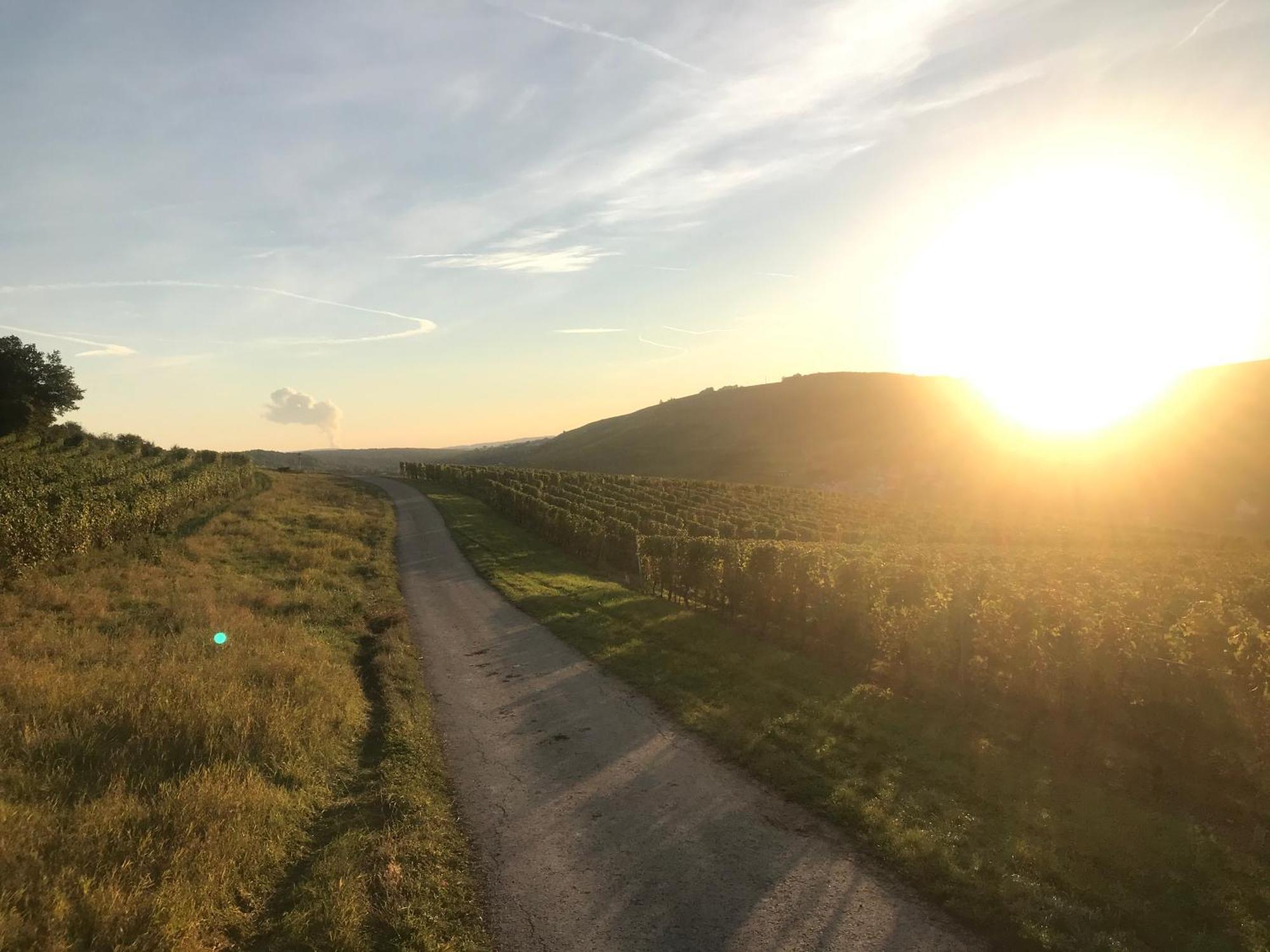 Gaestehaus Und Weingut Bernd Frieden Nittel Esterno foto