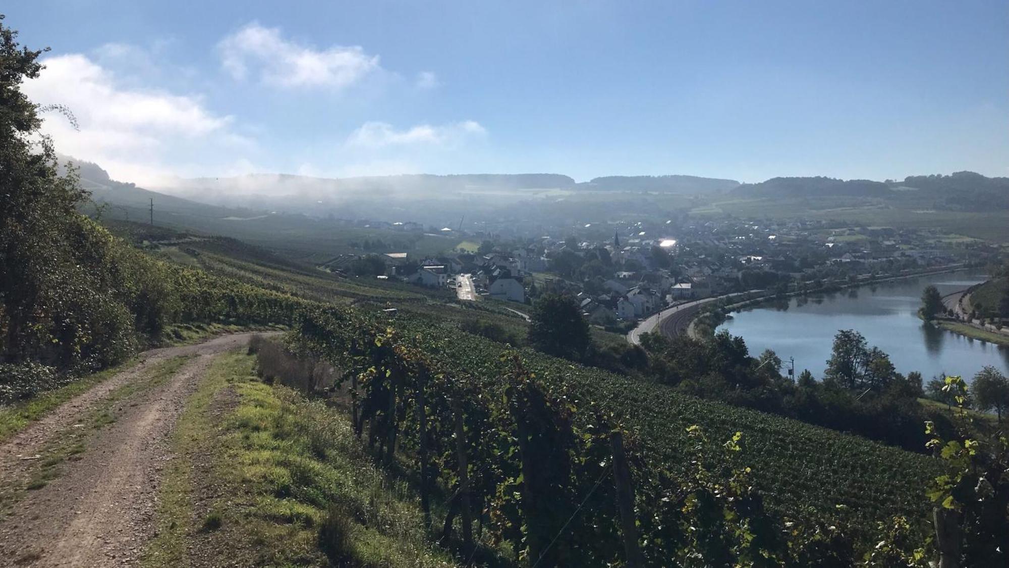 Gaestehaus Und Weingut Bernd Frieden Nittel Esterno foto